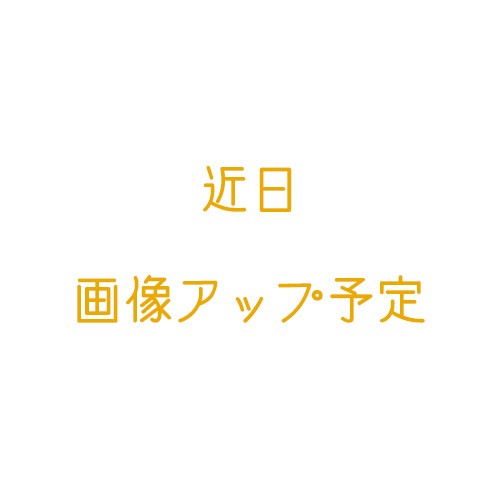 緑の猫のディズニーグッズダッフィー＆フレンズのフロム・オール・オブ