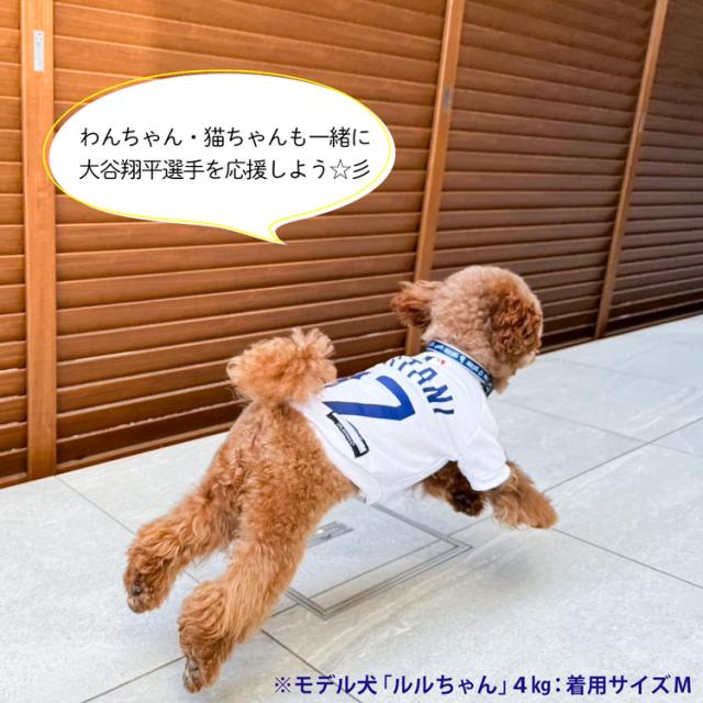 新品未使用　大谷翔平わんちゃんグッズ　MLB公認　4点セット 新品未使用 大谷翔平わんちゃんグッズ MLB公認 4点セット