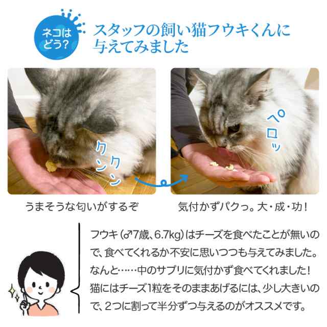 らくらく投薬チーズ 犬猫用 10個入 1袋 お1人様5個限りの通販はau Pay マーケット ペット用サプリ専門 Ant Pack Au Pay マーケット店