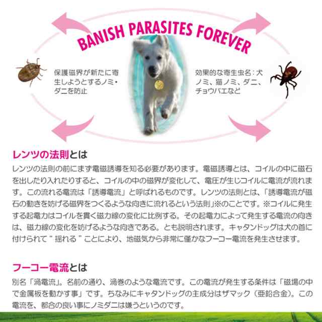 ノミ ダニ予防 キャタンドッグ 犬猫用 送料無料 の通販はau Pay マーケット ペット用サプリ専門 Ant Pack Au Pay マーケット店