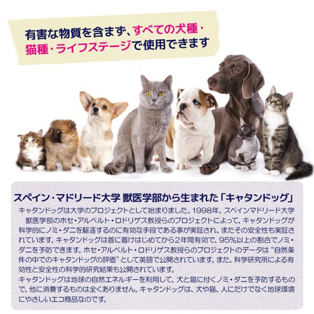 ノミ ダニ予防 キャタンドッグ 犬猫用 送料無料 の通販はau Pay マーケット ペット用サプリ専門 Ant Pack Au Pay マーケット店 ノミ ダニ予防 キャタンドッグ 犬猫用 送料無料 の通販はau Pay マーケット ペット用サプリ専門 Ant Pack Au Pay マーケット店