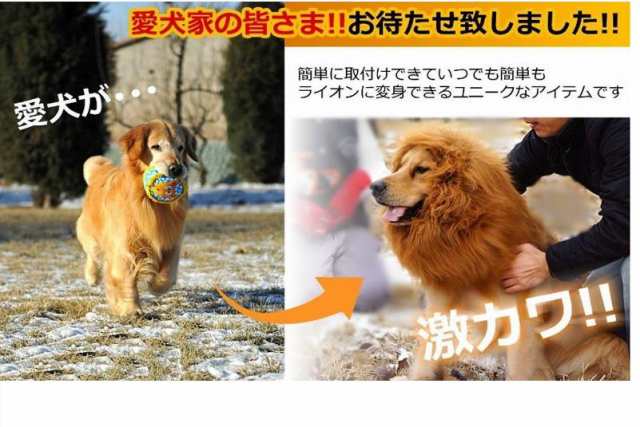 犬用 たてがみ ライオン たてがみ コスプレ かつら 犬用ウィッグ ライオンキャップ ハロウィン コスプレ 簡単着脱 ライオン ウィッグ カの通販はau Pay マーケット クーポン配布中 Epic エピック