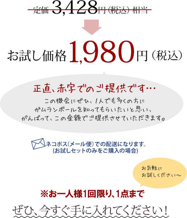 ガムランボール お試し5点セット バリ島の神秘の音色 月1.8cm バリ雑貨