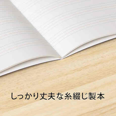 英語学習テキスト ぶっ飛ばし ショッピング ユニット13