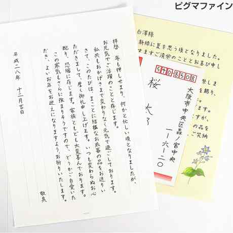 サクラクレパス ピグマ 黒 全12種類セット 003 005 01 02 03 05 08 1 2 3 F Br マーカー ミリペン 送料無料の通販はau Pay マーケット Clips クリップス Au Pay マーケット店