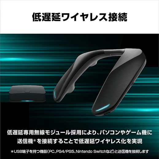 動作確認済付属品すべて有Panasonic ネックスピーカーシステム SC-GNW10