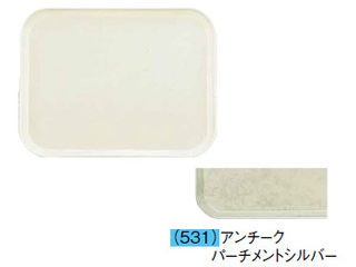 CAMBRO キャンブロ カムトレー（ＦＲＰ）　２０２５／アンチークパーチメントシルバーの通販は