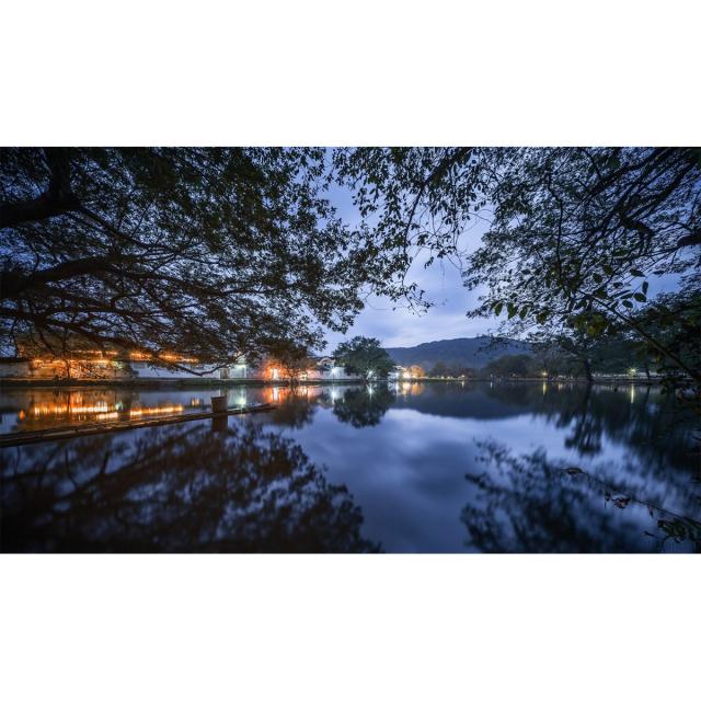 LAOWA ラオワ LAO0485 LAOWA 10mm F2.8 ZERO-D FF ニコンZマウント AF（オートフォーカス）の通販は