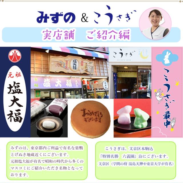 毎日製造 発送 一升餅 踏み餅わらじ付き 白いお餅 1個 ご家族で書くシール名入れ 誕生餅 一生餅 一歳 誕生日 祝い 風呂敷付きセッの通販はau Pay マーケット 一升餅 元祖塩大福みずの こうさぎ Au Pay マーケット店