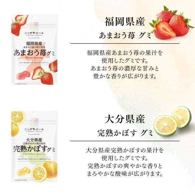 グミ ニッポンエール [ 30種 ] ご当地グミ アソート 国産 お菓子