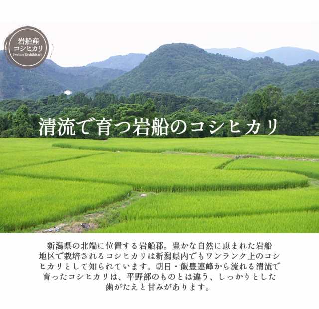 米 お米 20kg 安い 送料無料 令和5年産 新潟県 岩船産 コシヒカリ