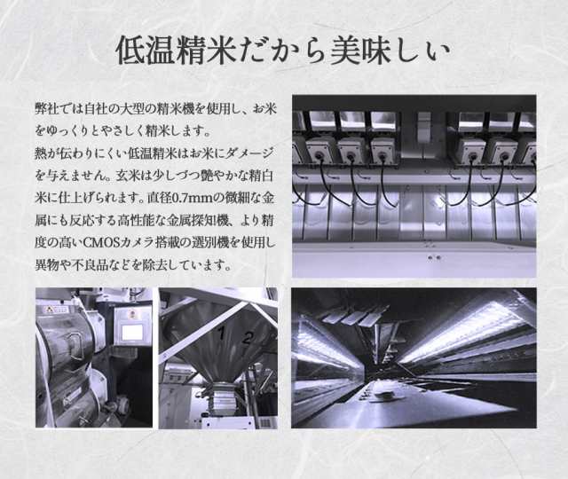 米 お米 20kg 安い 送料無料 令和5年産 新潟県 岩船産 コシヒカリ