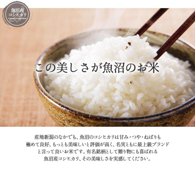 米 お米10kg 安い 送料無料 令和7年産 魚沼産 コシヒカリ こしひかり