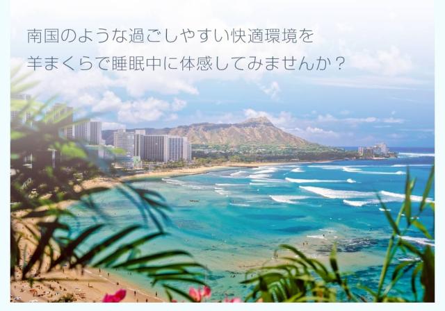 [ 羊まくら 素肌呼吸 シルクゥール ] 枕カバー 枕シート ケアマット 美容 髪 肌 潤い しっとり 枕 羊毛 トウモロコシ繊維 自然素材100％_12
