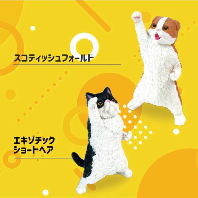 ガチャ ガチャガチャ コンプリート 中身 動物 猫 ネコ かわいい フィギュア おもちゃ NYAoooo!! 全5種類セット ミケ  スコティッシュの通販はau PAY マーケット いただきプラザ au PAY マーケット店 au PAY マーケット－通販サイト