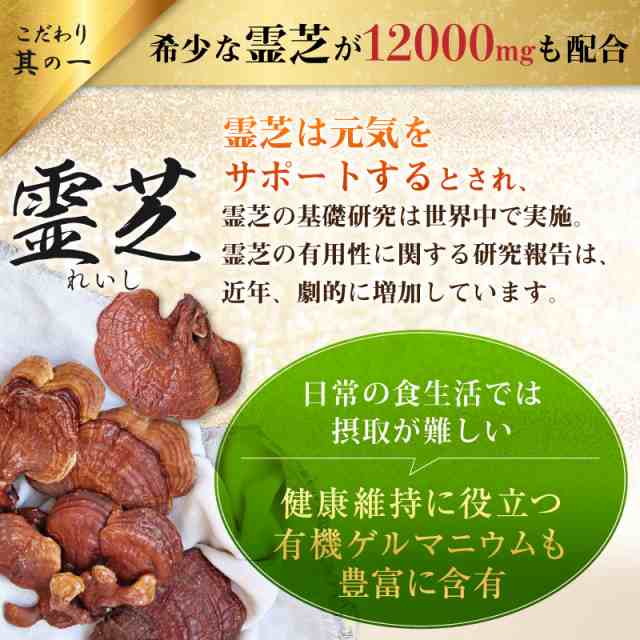 健康維持 元気 サプリ 霊芝 12000mg 高配合 乳酸菌 スピルリナ