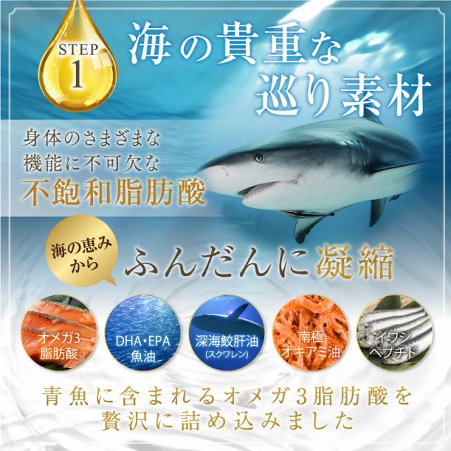 ポイント最大26倍 オリジナルクーポン オメガ3 サプリメント 極健潤 Dha Epa 深海鮫肝油 納豆菌 ケルセチン 亜麻仁油 えごま油 30日の通販はau Pay マーケット ｂｏｄｙ ｌｉｔｅ ｃｈａｎｇｅ