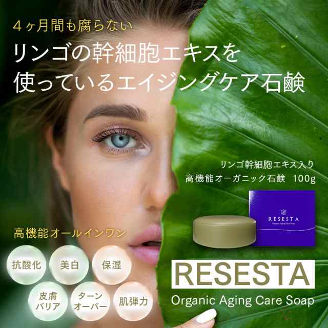 洗顔 洗顔石けん Resesta オーガニック 無添加 敏感 肌用 毛穴 対策 洗顔石鹸 リンゴ幹細胞 コラーゲン ヒアルロン酸 セラミド 配合 保湿の通販はau Pay マーケット ｂｏｄｙ ｌｉｔｅ ｃｈａｎｇｅ