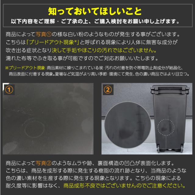 ゴミ箱 屋外 RISU キャスターペール 90C2 【ごみ箱 ふた付き 分別