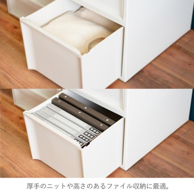 収納ケース RISUスタックシステムケース ワイドL 【2段セット】 収納