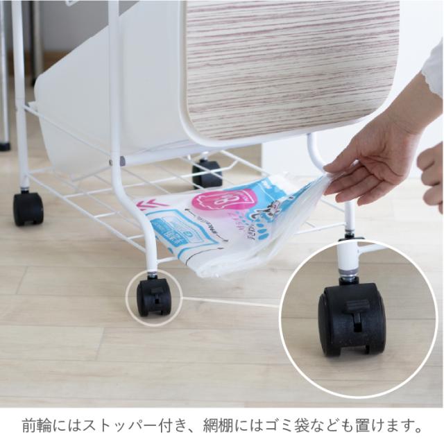 ゴミ箱 分別 縦型 RISU スタンドダストボックス5P 【ごみ箱 おしゃれ