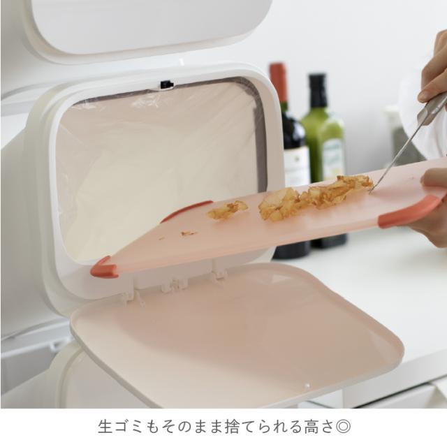 ゴミ箱 分別 縦型 RISU スタンドダストボックス5P 【ごみ箱 おしゃれ