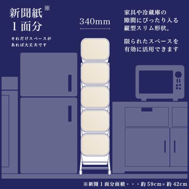 ゴミ箱 分別 縦型 RISU スタンドダストボックス5P 【ごみ箱 おしゃれ