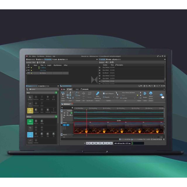 スタインバーグ WAVELAB CAST 2 通常版 Steinberg 波形編集《ダウンロード版》