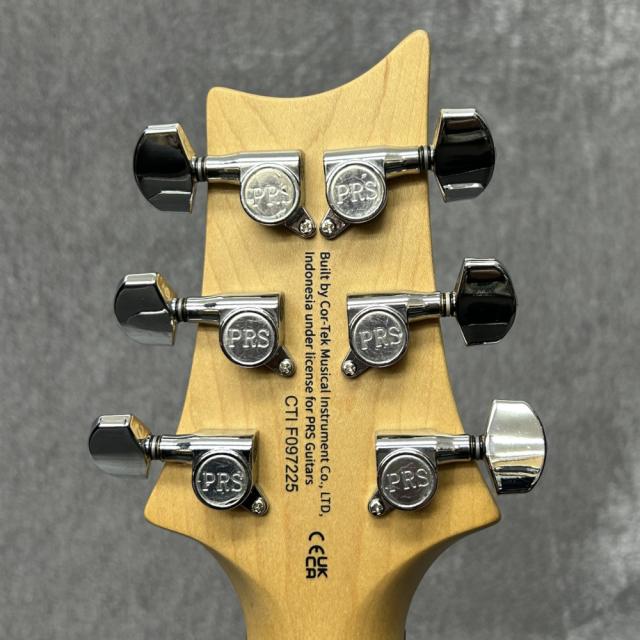 Marles エレキギター mt0100970_m.jpg