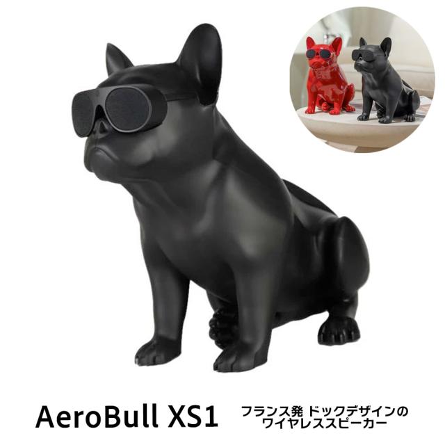 AeroBull エアロブル　ワイヤレススピーカー 正規代理店】エアロブル ワイヤレススピーカー HD1 フレンチ