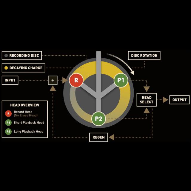 《期間限定 専用アダプタープレゼント》 Strymon ストライモン OLIVERA vintage oil can echo ビンテージ・オイル缶 エコー