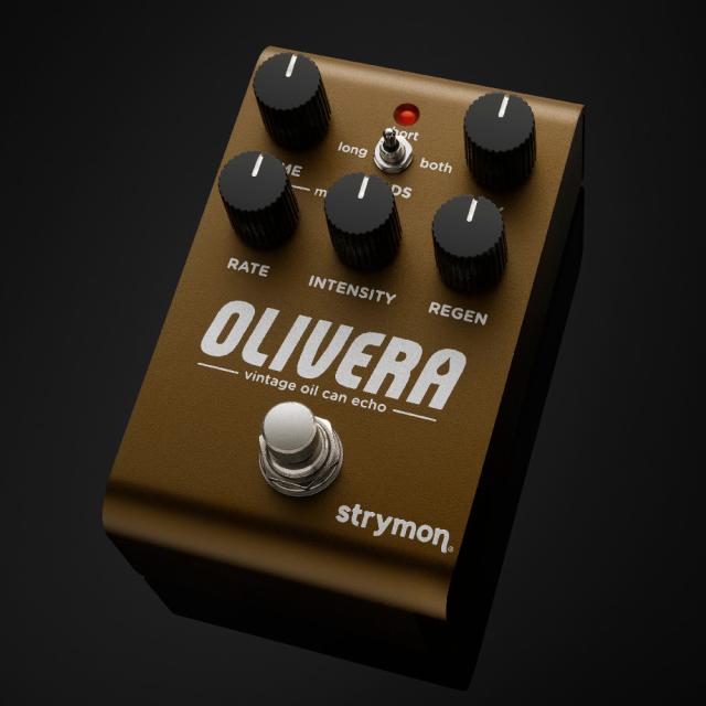 《期間限定 専用アダプタープレゼント》 Strymon ストライモン OLIVERA vintage oil can echo ビンテージ・オイル缶 エコー