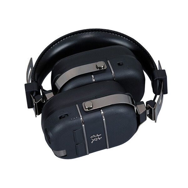 BOSS WAZA-AIR BASS ＆ 専用キャリングケース Amazon.co.jp: BOSS ボス キャリングケース CB-WZ-AIR WAZA-AIR