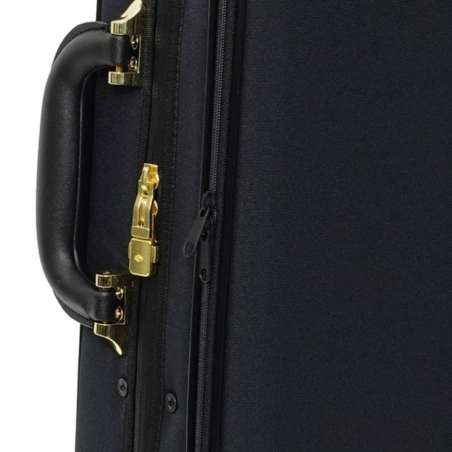 スーパーライト(Super Light) シェイプトバイオリンケース(三角型