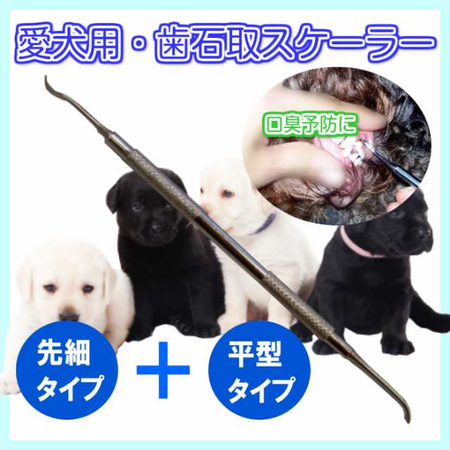 送料無料 犬用 歯の汚れ取りスケーラー スケラー 先細 平型 両端１本タイプ イヌ用の通販はau Pay マーケット ナチュラルミント