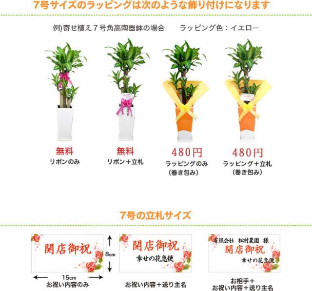 観葉植物 モンステラ8号角高陶器鉢(白) 高さ約100cm 【mons08-001】大型 開店祝い 新築祝い 誕生日プレゼント 引越祝い モダン  インテリの通販はau PAY マーケット - 花うるる〜花でうるおう毎日 | au PAY マーケット－通販サイト