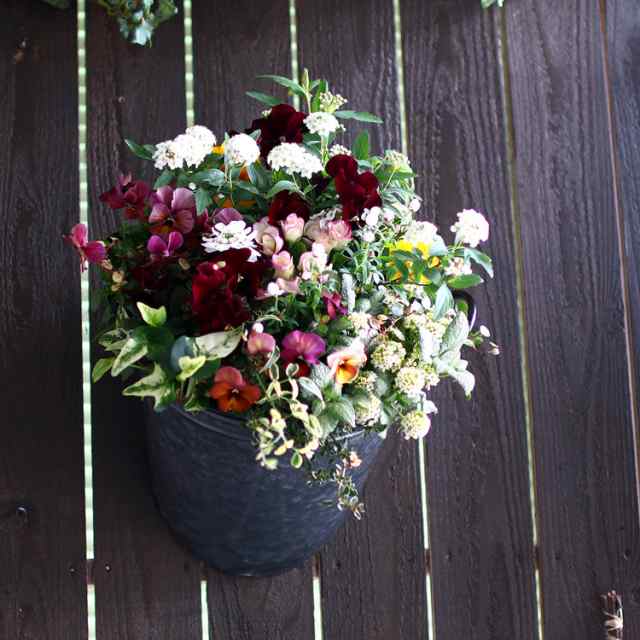 春の寄せ植え 花うるるアレンジ メタルポット 寄せ植え Sサイズ 寄植え ブリキ メタル ハンギング 花束 ギフト プレゼント 新築祝い の通販はau Pay マーケット 花うるる 花でうるおう毎日