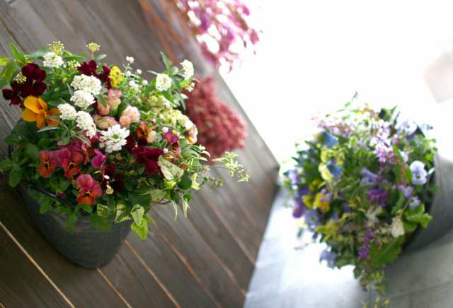 春の寄せ植え 花うるるアレンジ メタルポット 寄せ植え Sサイズ 寄植え ブリキ メタル ハンギング 花束 ギフト プレゼント 新築祝い の通販はau Pay マーケット 花うるる 花でうるおう毎日