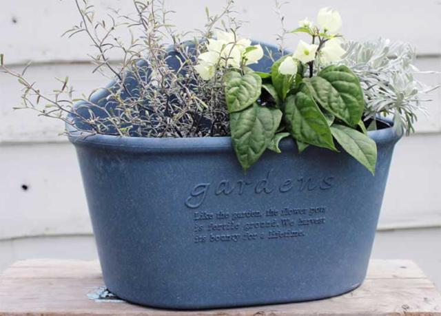 全7色 ハンギングエコポット300 ハンギングバスケット ハンギング プランター おしゃれ 壁掛け フェンス 寄せ植え 植木鉢 ガーデニンの通販はau Pay マーケット 花うるる 花でうるおう毎日