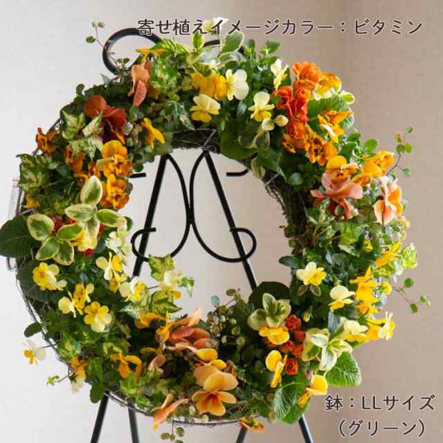 花うるる リース 寄せ植え [アレンジ LLサイズ]おまかせ&オーダーメイド可(セット ギフト 花 鉢 寄植え 鉢植え 壁掛け ハンギングバスケット  通販 プレゼント 花ギフト おしゃれ 珍しい 苗 玄関 お花 フラワーギフト 誕生日 完成品 花苗 プランター 秋 冬 クリスマスの ...