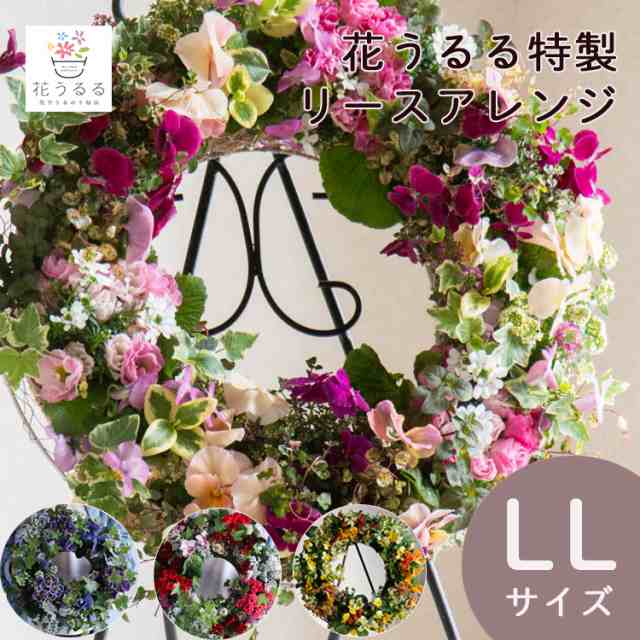 花うるる リース 寄せ植え [アレンジ LLサイズ]おまかせ&オーダーメイド可(セット ギフト 花 鉢 寄植え 鉢植え 壁掛け ハンギングバスケット  通販 プレゼント 花ギフト おしゃれ 珍しい 苗 玄関 お花 フラワーギフト 誕生日 完成品 花苗 プランター 秋 冬 クリスマスの ...