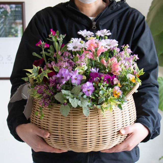 花うるるアレンジ寄せ植え「ジェミニバスケット ロウ(Lサイズ 