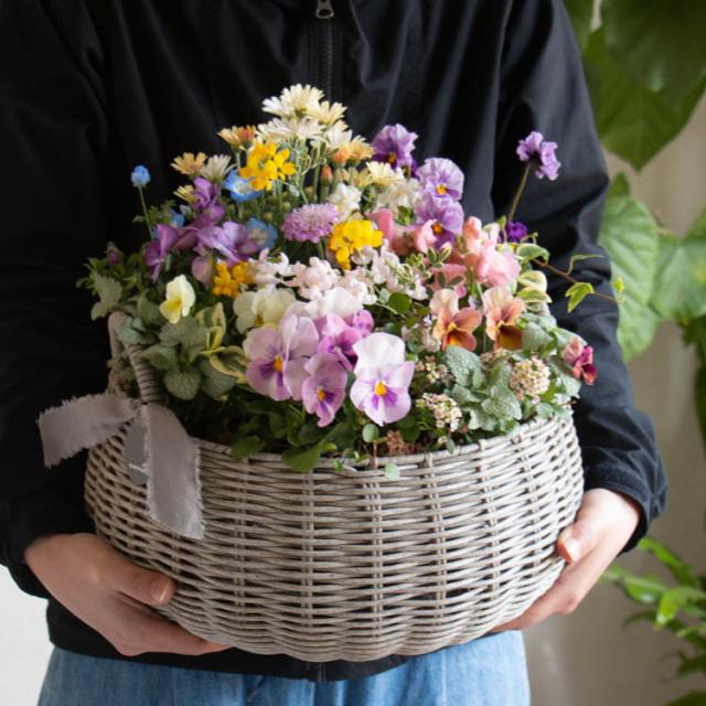 花うるるアレンジ寄せ植え「ジェミニバスケット ロウ(Lサイズ 