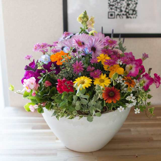 ありきたりな寄せ植えに満足できない方へ [花うるる オーダー