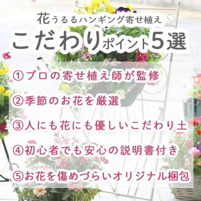 ありきたりな寄せ植えに満足できない方へ [花うるる オーダーメイド