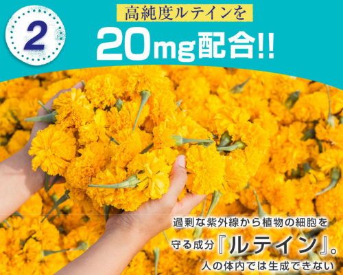 ぱちっと 62粒 ５袋セット_2