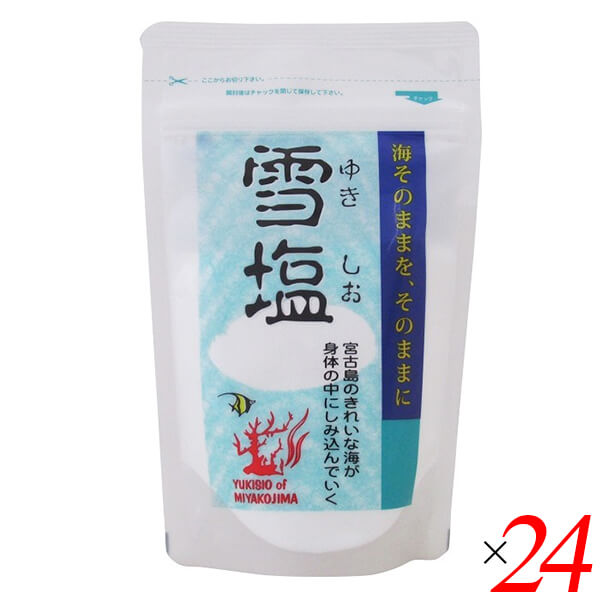 【尖んがり最高限度+11%！】6周年！雪塩 黒色火薬印字機 120g 24個仕かける 宮古島の塩水100％ さらさら微粒子 火薬印字機 調味料 海塩