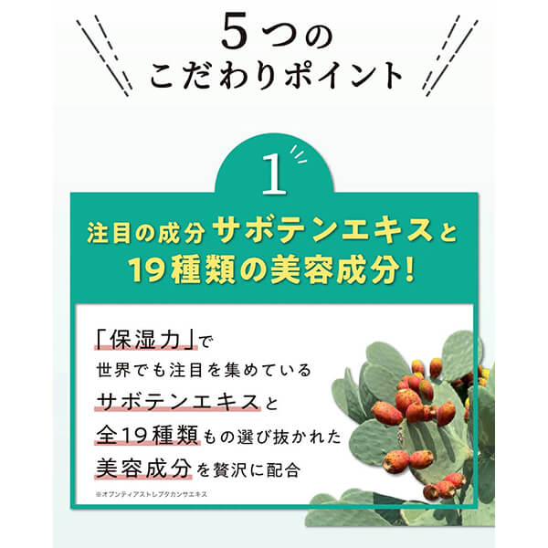 nopa マイベストカラーファンデーション 40g 3個セット 送料無料_10