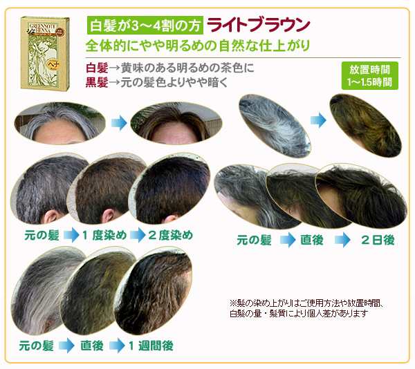 ヘアカラー ヘアマニキュア ヘナ グリーンノートヘナ ブラウン系 100g 全2色の通販はau Pay マーケット 健康ショップ メガヘルス