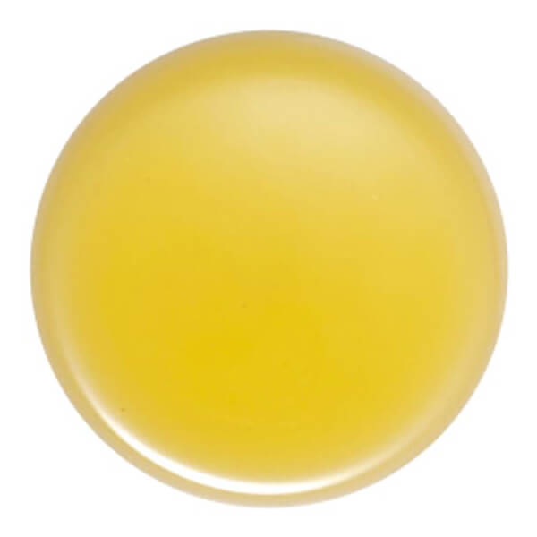 生活の木 ホホバオイル・バージン(ゴールデン) 未精製 500ml 2個セット